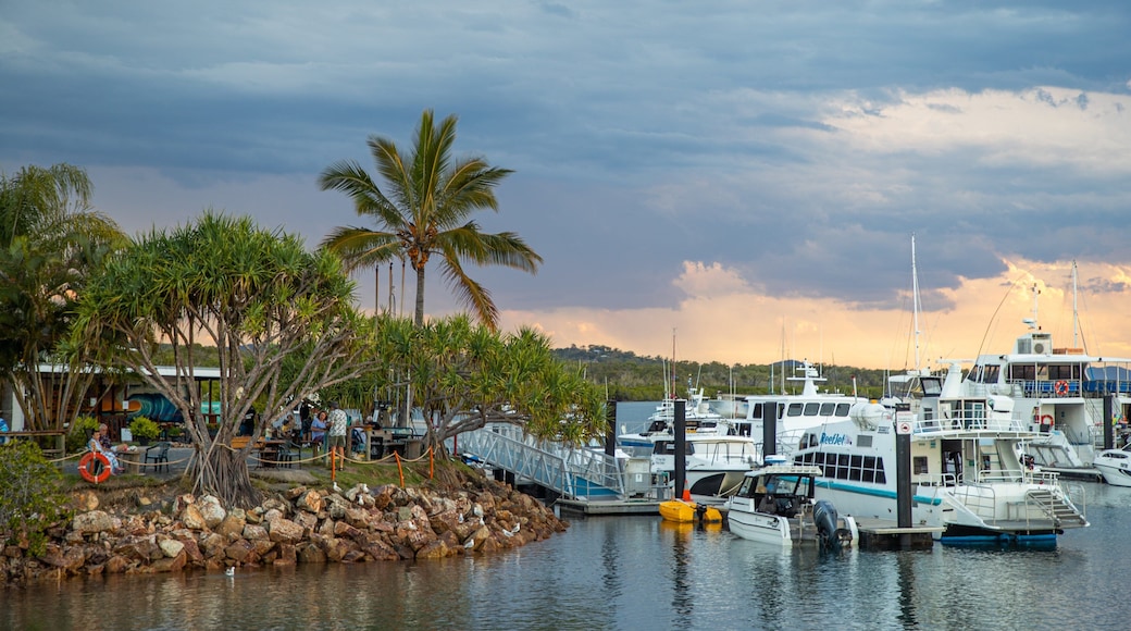 1770 Marina showing a sunset and a bay or harbor