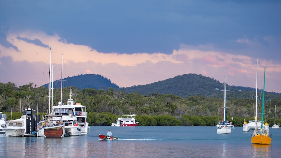 1770 Marina showing a bay or harbor and a sunset