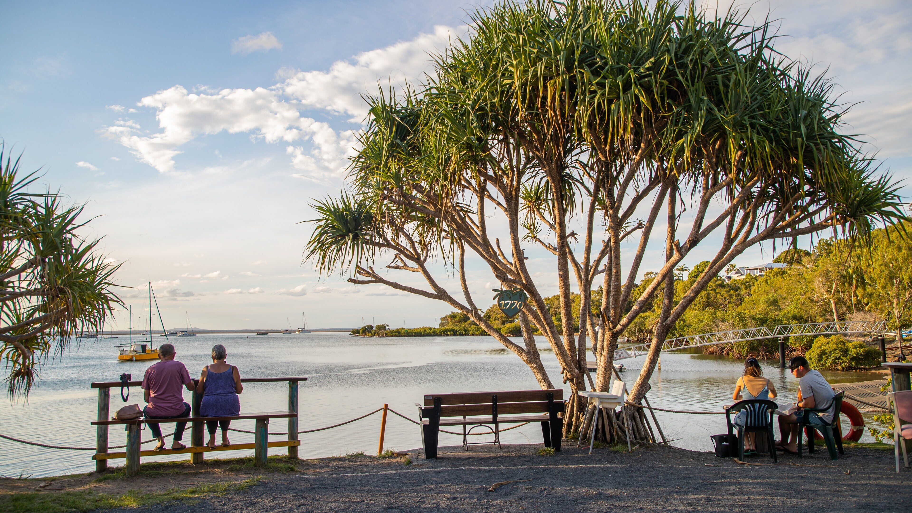 A waterfront park with benches and a large tree.