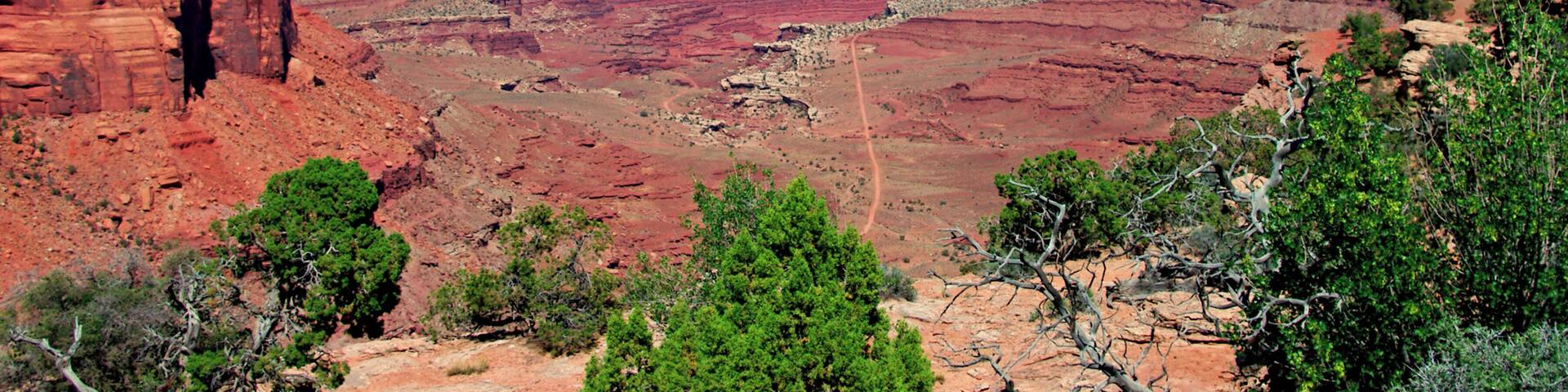 Big vistas from the Island in the Sky section of the park. #OnTheRoad