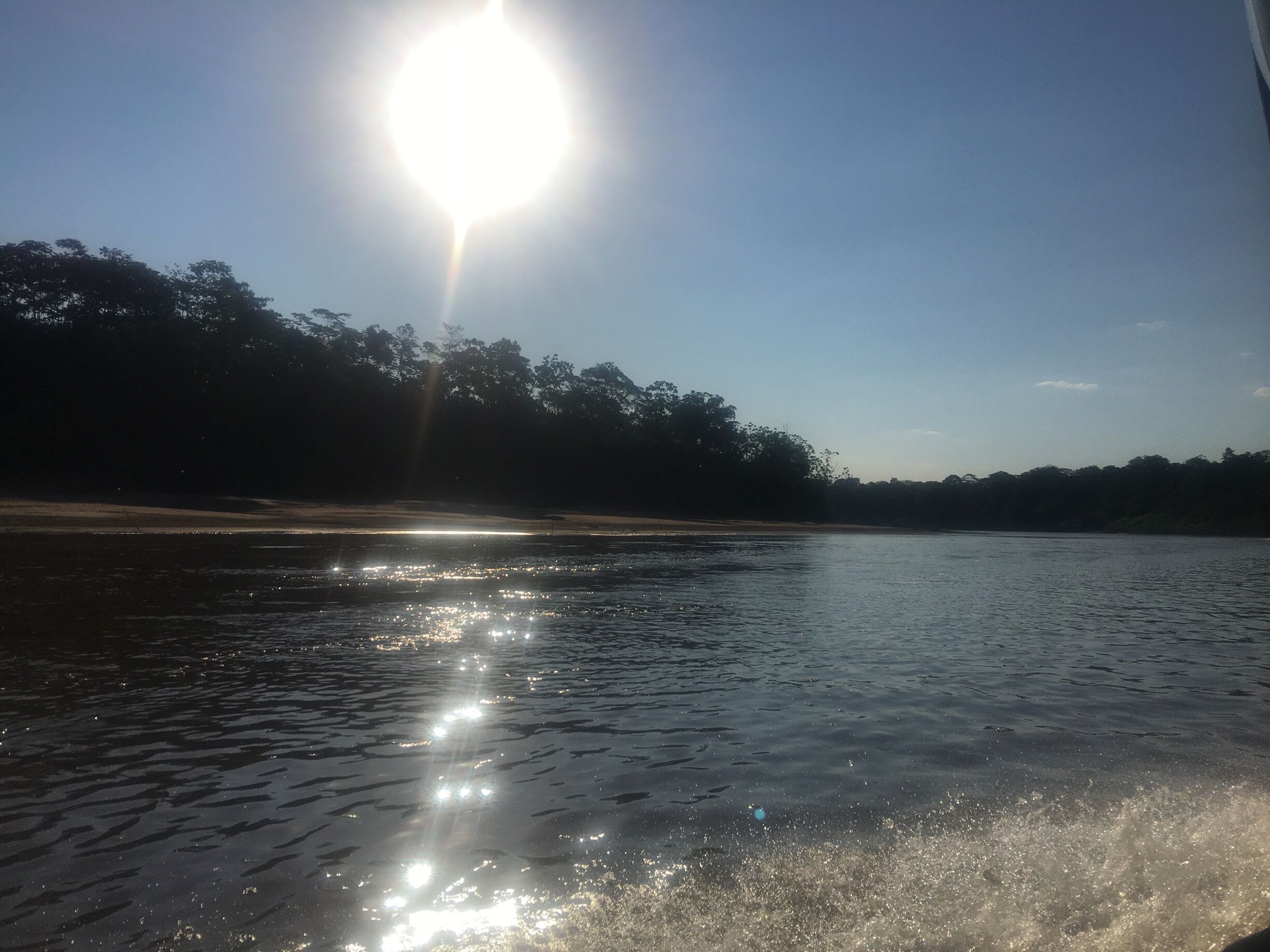 As silly as it sounds I was amazed to go to the Amazon and for it to look exactly like it does on TV. The most peaceful and beautiful place, one of my favourite places so far. #jungle #amazonriver #peru 