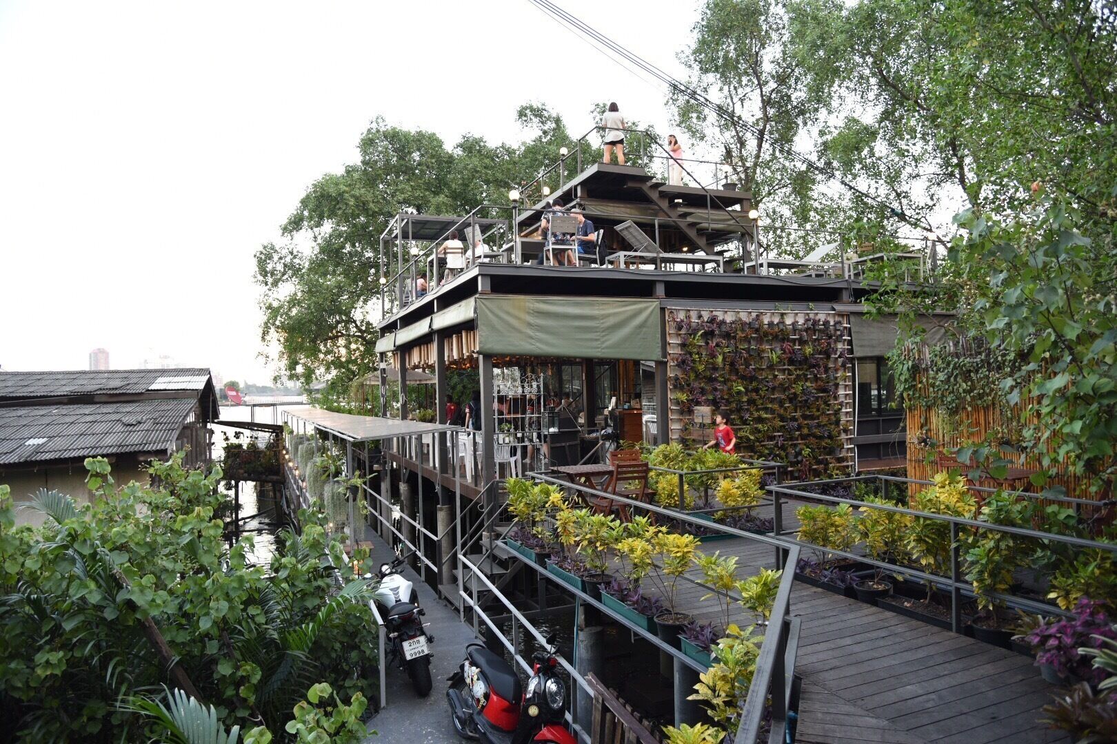 Bangkok tree House