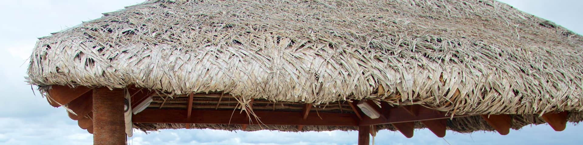 Fiji featuring general coastal views and a bar