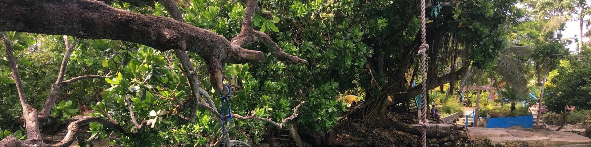 This place is a natural Lagoon which is maintained by the locals who have built around it little huts so people can enjoy it without destroying it, a donation entry funds the upkeep of this place to ensure it isn't destroyed by People coming to visit and not respecting it. #ExpediaCares #lifeatexpedia