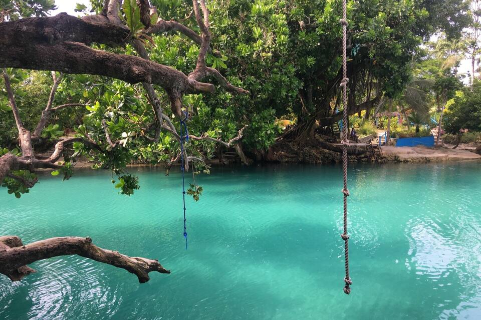 A clear turquoise body of water surrounded by lush greenery and trees.