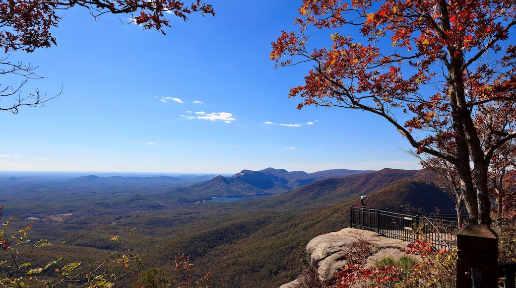 Área de vida silvestre Mountain Bridge