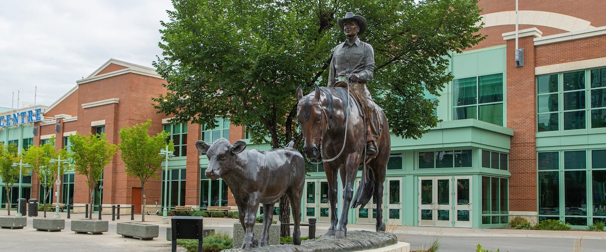 BMO Centre showing a statue or sculpture