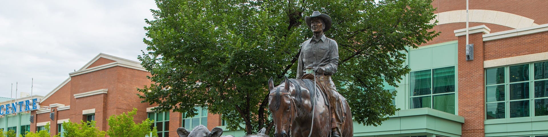 BMO Centre showing a statue or sculpture