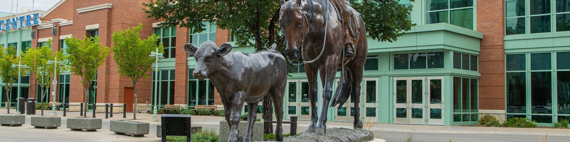 BMO Centre showing a statue or sculpture