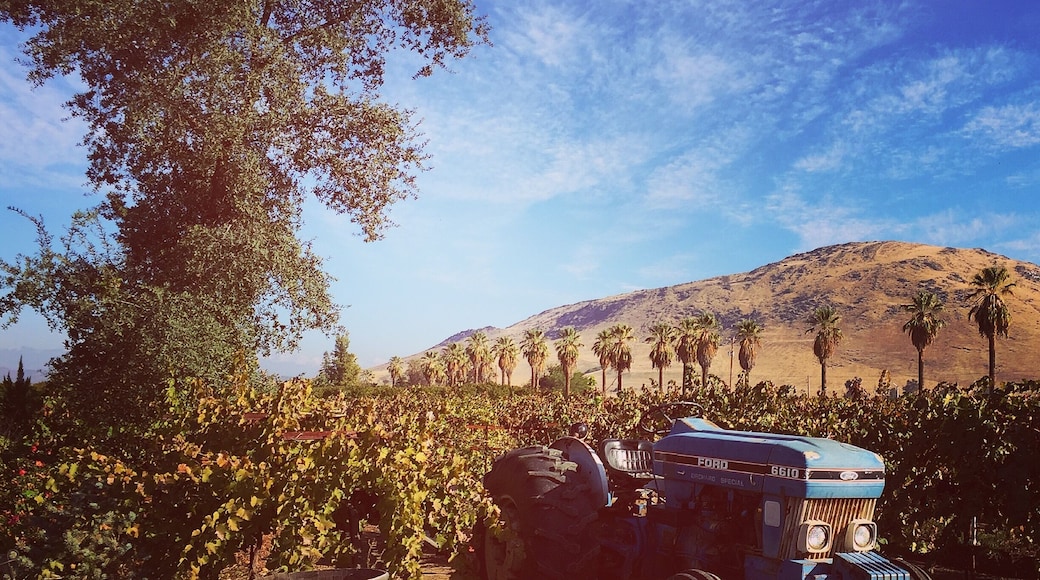 California is wine country! And many great growing regions are just outside of the Los Angeles area #LoveMyTown