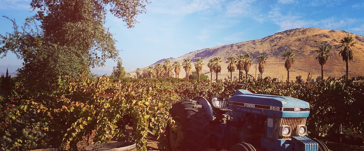 California is wine country! And many great growing regions are just outside of the Los Angeles area #LoveMyTown