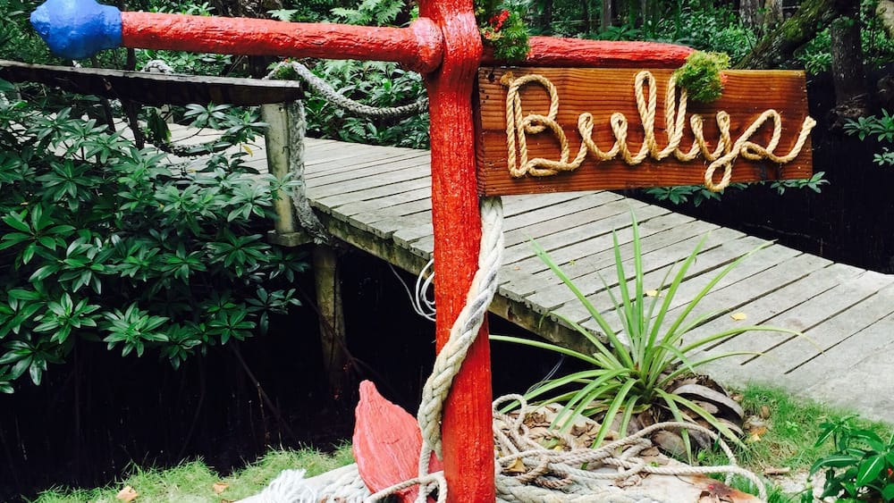 One of the three hotels and restaurants on Kosrae, the Pacific Treelodge is nestled within the mangroves of the Mutunnenea Channel. Bully's restaurant offers local Kosraen specialties as well as Italian eggplant dishes compliments of the owner, Maria. Try the earthy mangrove crab special or the "Bully burger". Stop by on Tuesday for a movie screening. #kosrae #offthebeatenpath