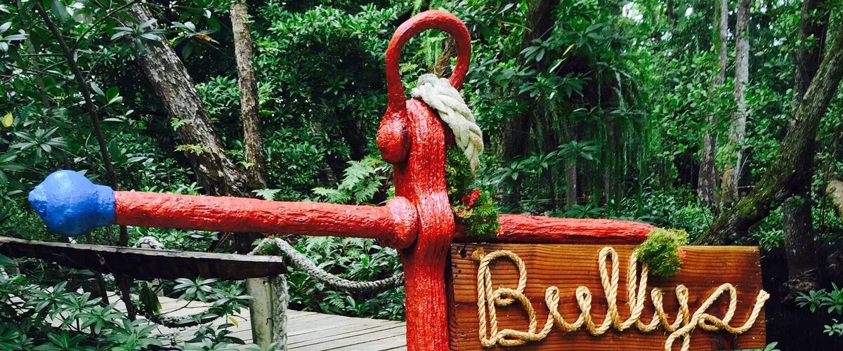 A red hand pump with a rope wrapped around it, a wooden sign with the word "Bullya," and a wooden bridge in a lush green environment.
