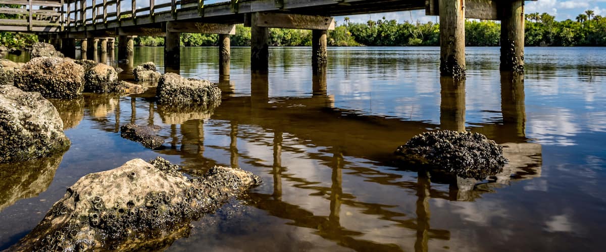 River Park Marina in Port St Lucie