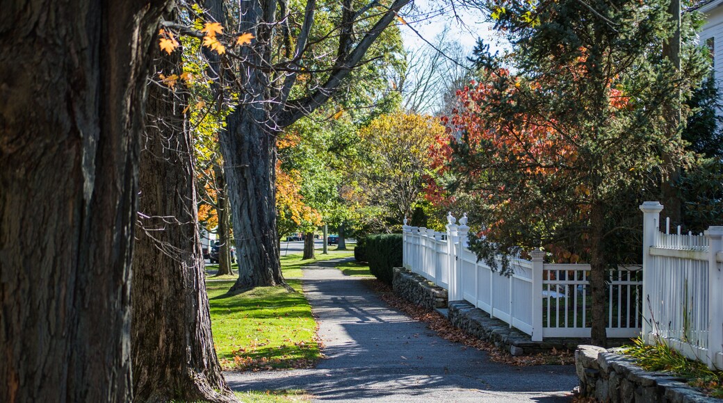 Parc Litchfield Town Green