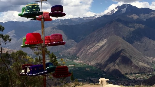 Hats off to a lovely, lovely world