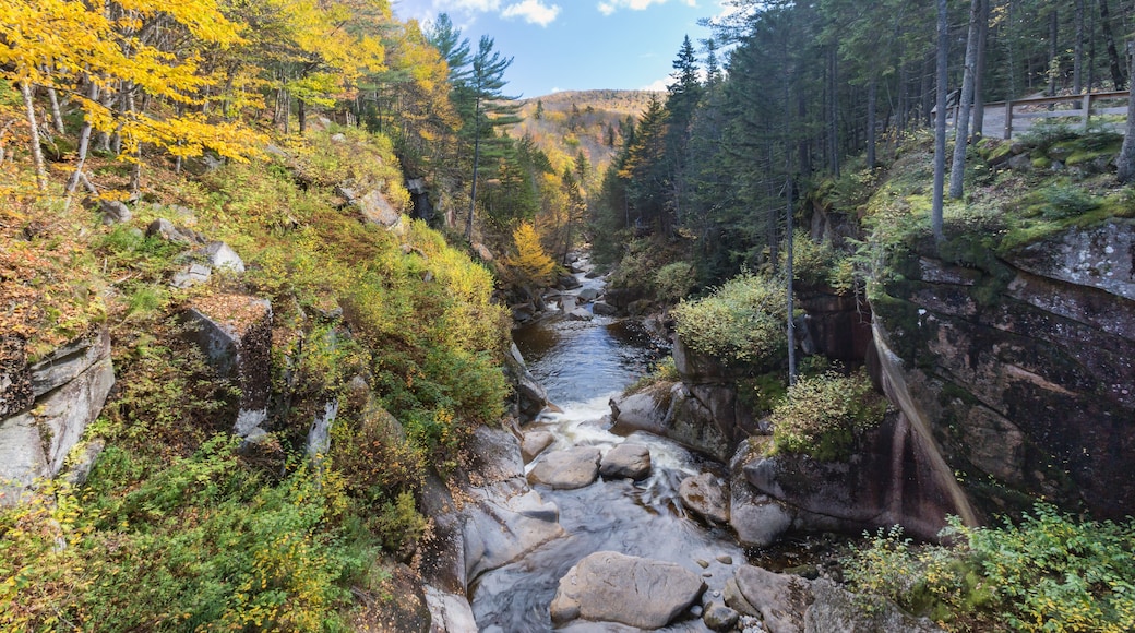 Domaine skiable Granite Gorge
