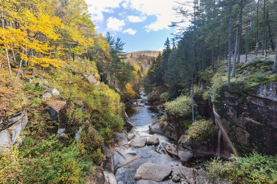 A river flowing through a forested valley with autumn foliage and rocky terrain.