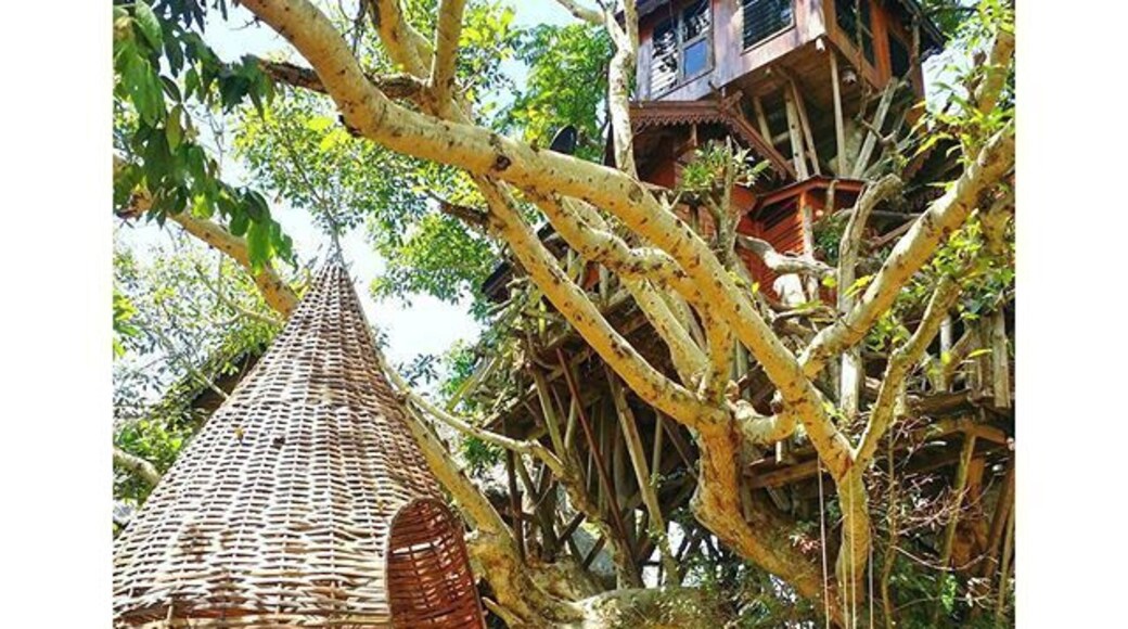 #Pai 3/3: Treehouse Resort
Tag someone you'd like to go here with! 😊
Have you also experienced having or playing in a treehouse when you were younger? 😁
Happy weekend guys! 💜