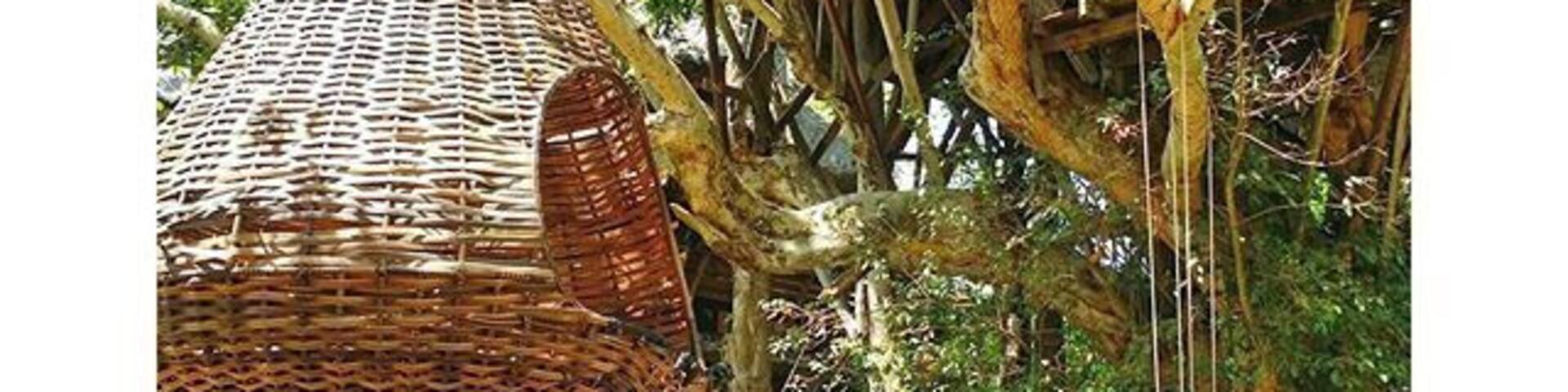 #Pai 3/3: Treehouse Resort
Tag someone you'd like to go here with! 😊
Have you also experienced having or playing in a treehouse when you were younger? 😁
Happy weekend guys! 💜