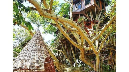 #Pai 3/3: Treehouse Resort
Tag someone you'd like to go here with! 😊
Have you also experienced having or playing in a treehouse when you were younger? 😁
Happy weekend guys! 💜