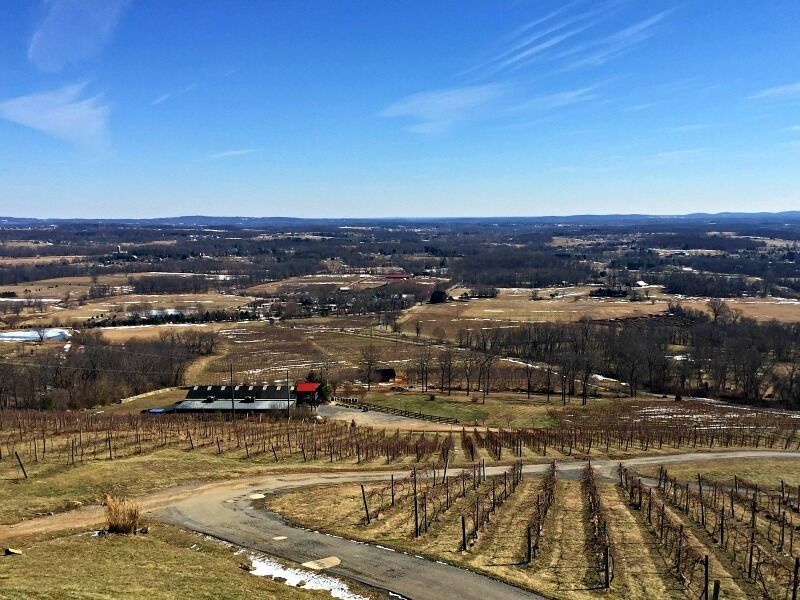 View from the tasting room at Bluemont Vineyard in Virginia. This is a great, dog-friendly winery with nice wine and a large food menu. The views cannot be beat! http://www.badsentences.com/staying-warm-virginia-wine-country/