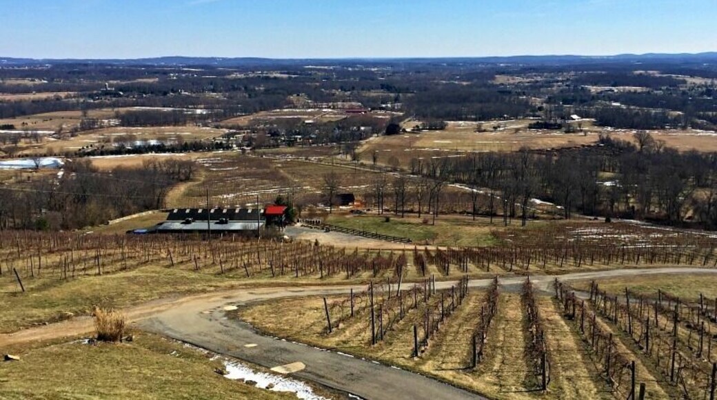 View from the tasting room at Bluemont Vineyard in Virginia. This is a great, dog-friendly winery with nice wine and a large food menu. The views cannot be beat! http://www.badsentences.com/staying-warm-virginia-wine-country/