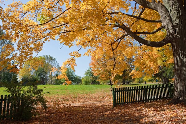 Autumn in the Park, Oakville, Ontario, Canada