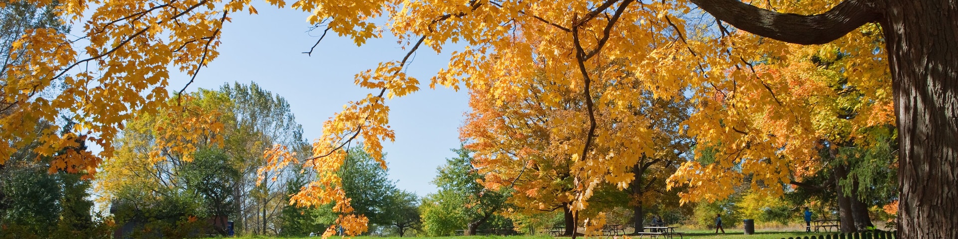 Autumn in the Park, Oakville, Ontario, Canada