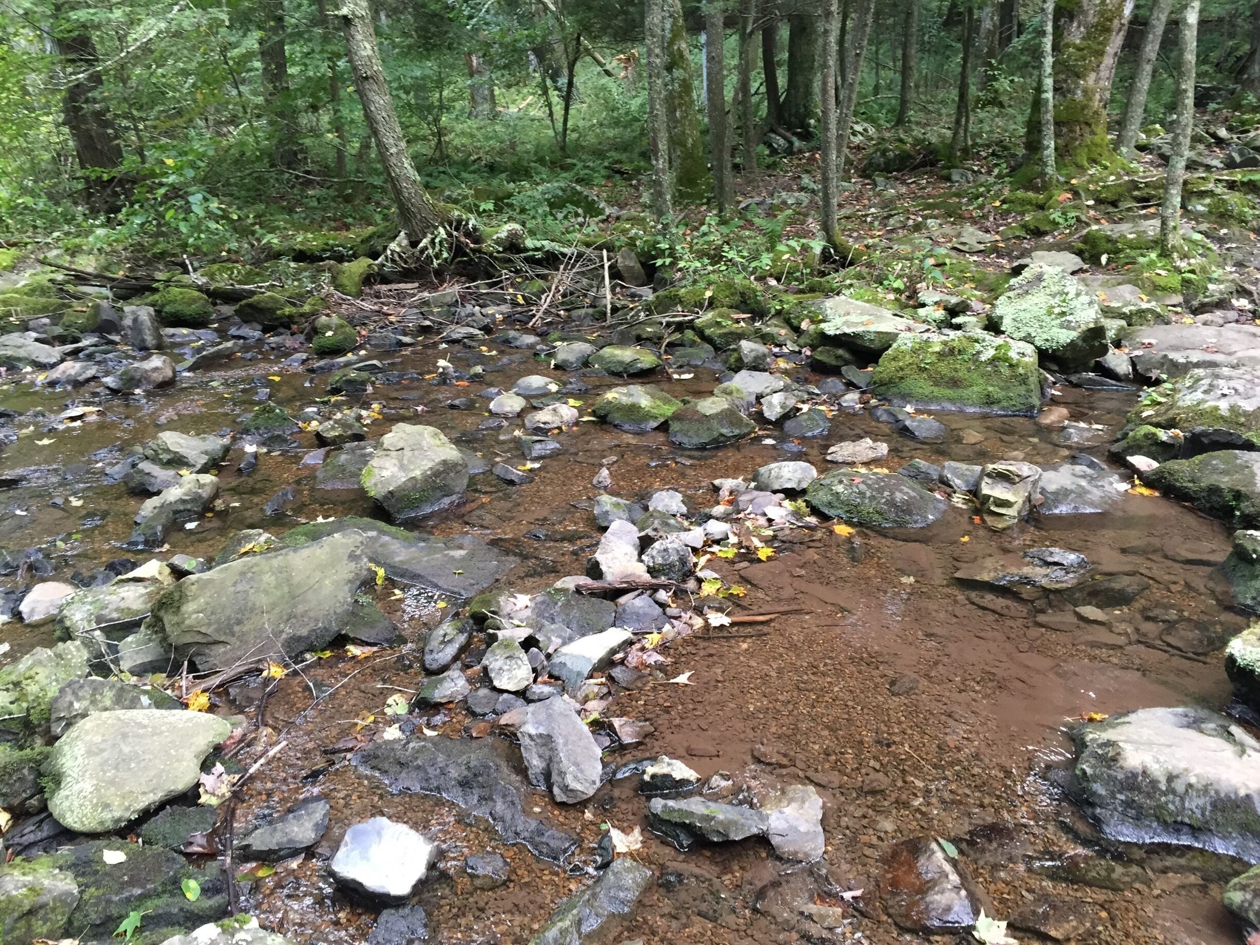 Hiking the Rapidan Camp Trail In Shenandoah National Park Sunday...