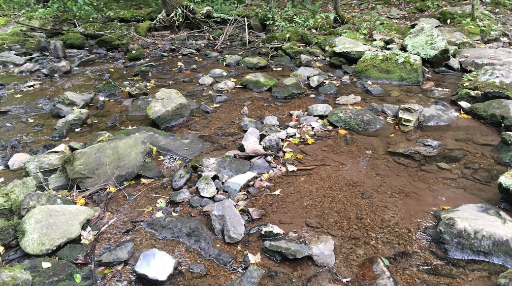 Hiking the Rapidan Camp Trail In Shenandoah National Park Sunday...