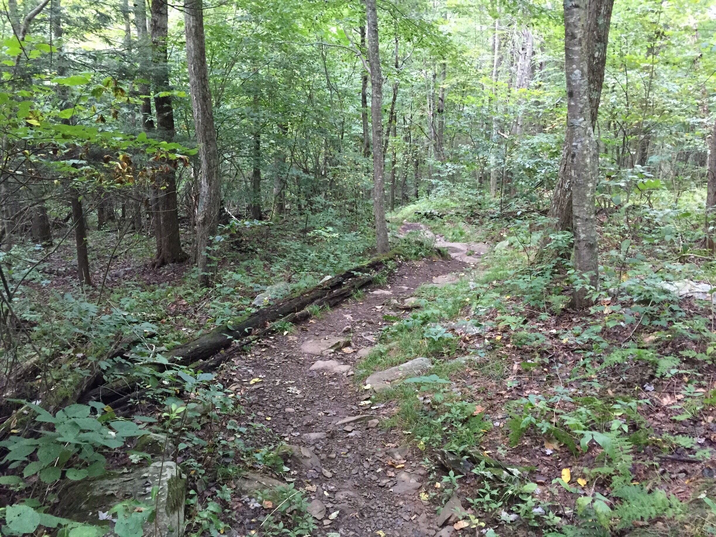Hiking the Rapidan Camp Trail In Shenandoah National Park Sunday...