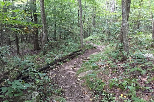 Hiking the Rapidan Camp Trail In Shenandoah National Park Sunday...