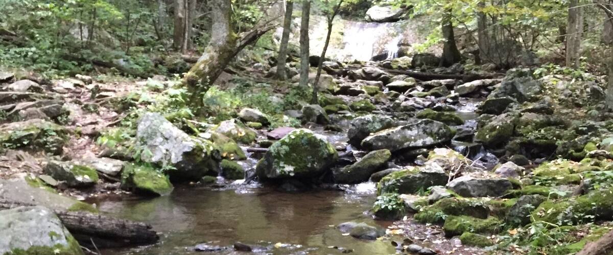 Hiking the Rapidan Camp Trail In Shenandoah National Park Sunday...
