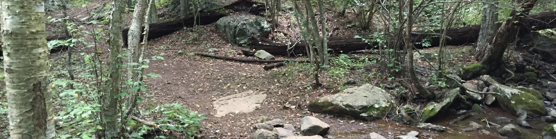 Hiking the Rapidan Camp Trail In Shenandoah National Park Sunday...