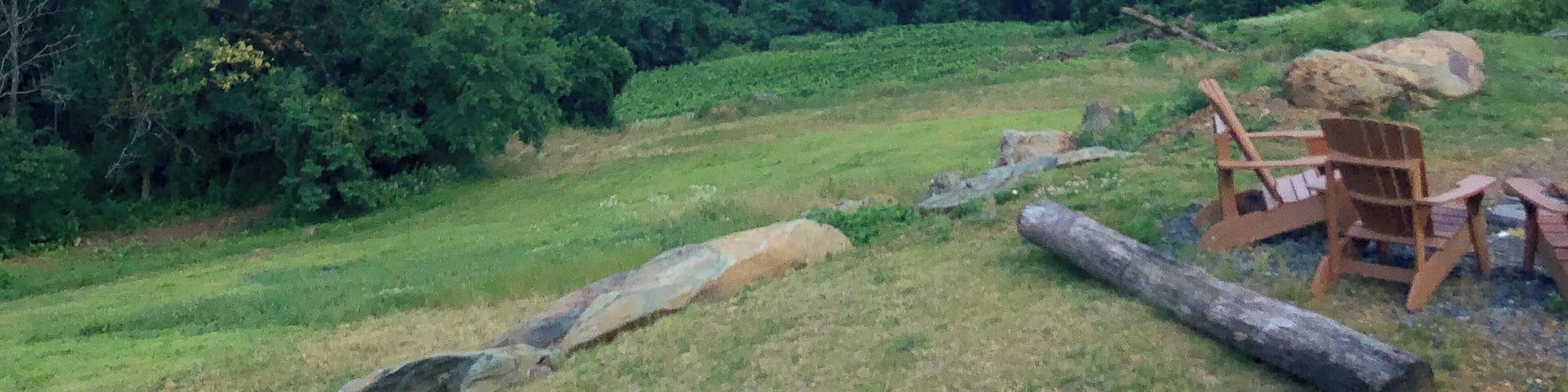 Chester Gap Cellars is a vineyard near Front Royal, Virginia, USA. The view over the valley from their tasting room deck is wonderful.