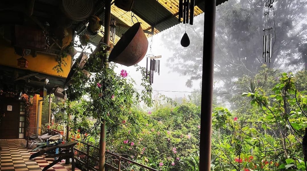 Restaurante dos alas on a Rainy saturday.