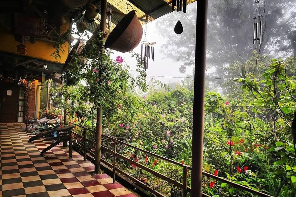 A checkered floor, hanging pots, and lush greenery.
