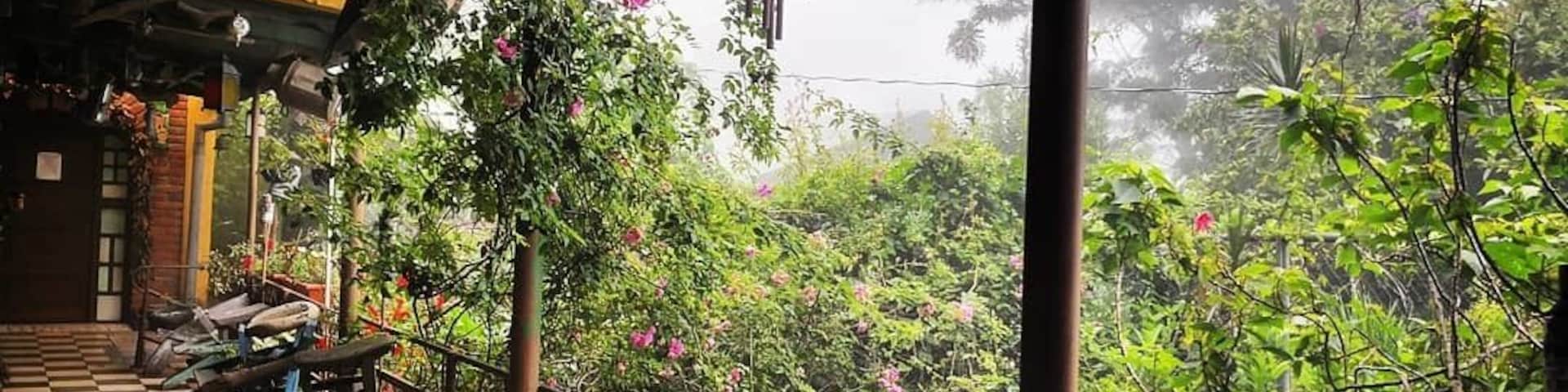 Restaurante dos alas on a Rainy saturday.