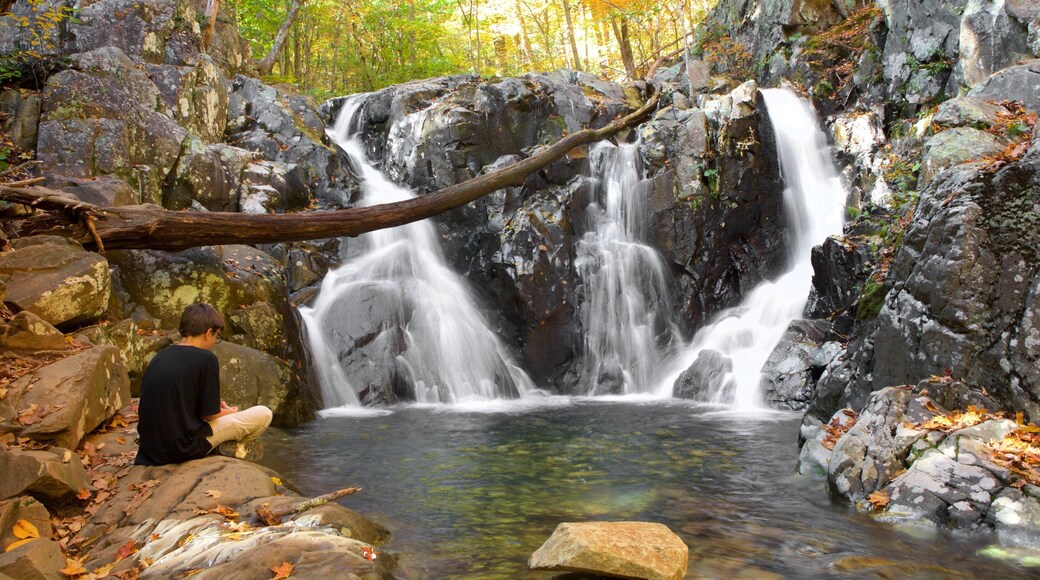 Rose River Falls ofreciendo una catarata y también un niño