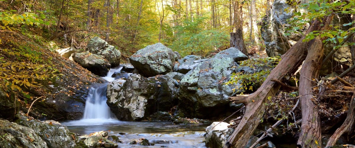 Rose River Falls showing a river or creek and forests