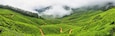 Kolukkumalai Tea plantations in a foggy day in Munnar, Kerala, India