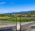 Azienda vinicola Veramar Vineyard