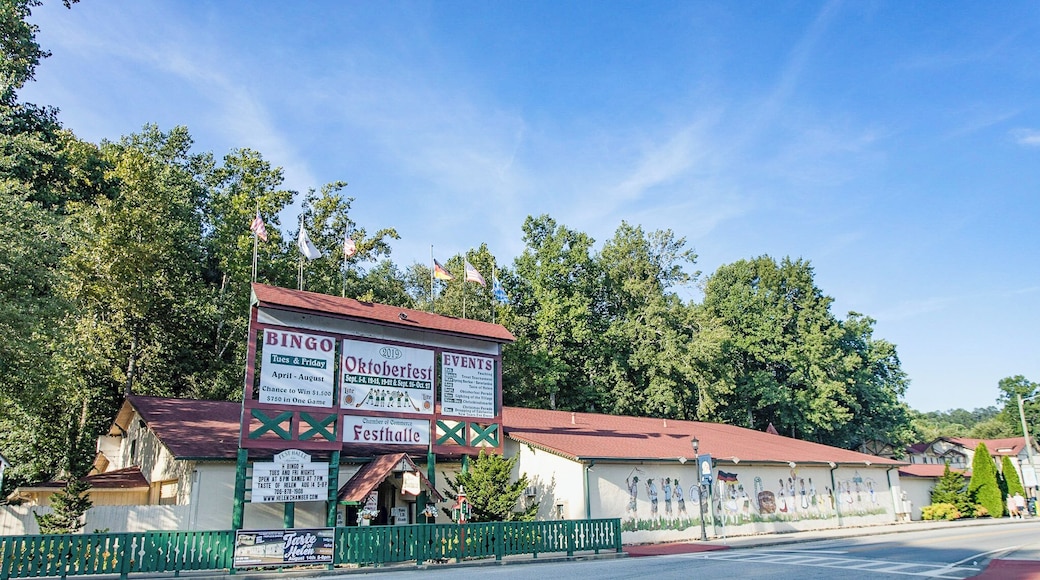 Helen_HelenFesthalle_553248621587587020-5-2