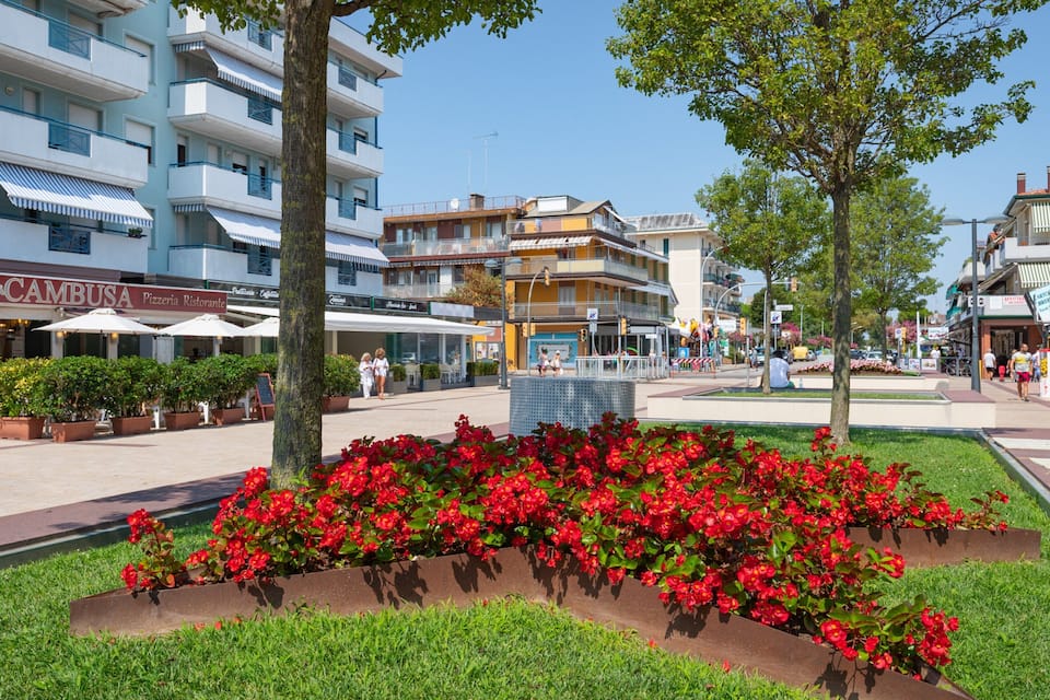 Una plaça amb flors vermelles, un cafè i edificis d'altures.