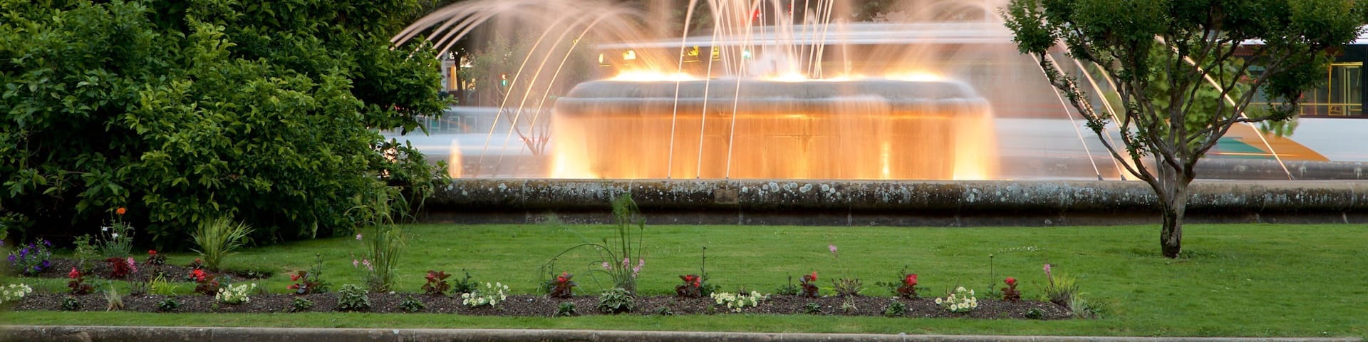 Plaza Principe de Viana which includes a fountain and a garden