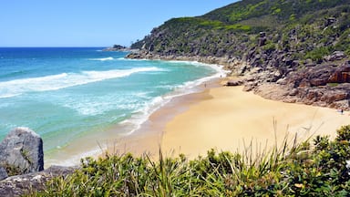 Little Bay Beach in South West Rocks, New South Wales, Australia., Shutterstock ID 538022560, Purchase Order: -