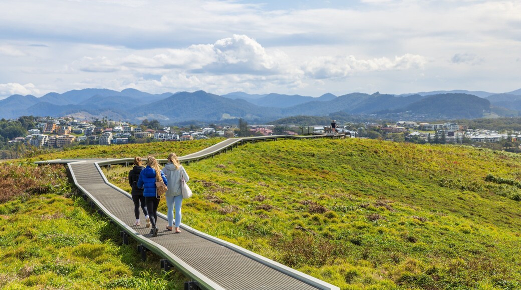 Muttonbird Island Nature Reserve featuring tranquil scenes as well as a small group of people