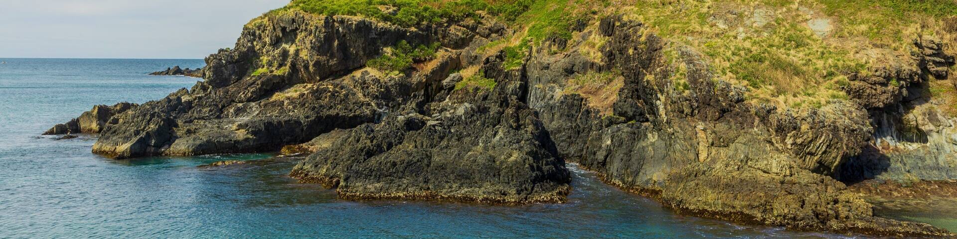 Muttonbird Island Nature Reserve showing rocky coastline and general coastal views
