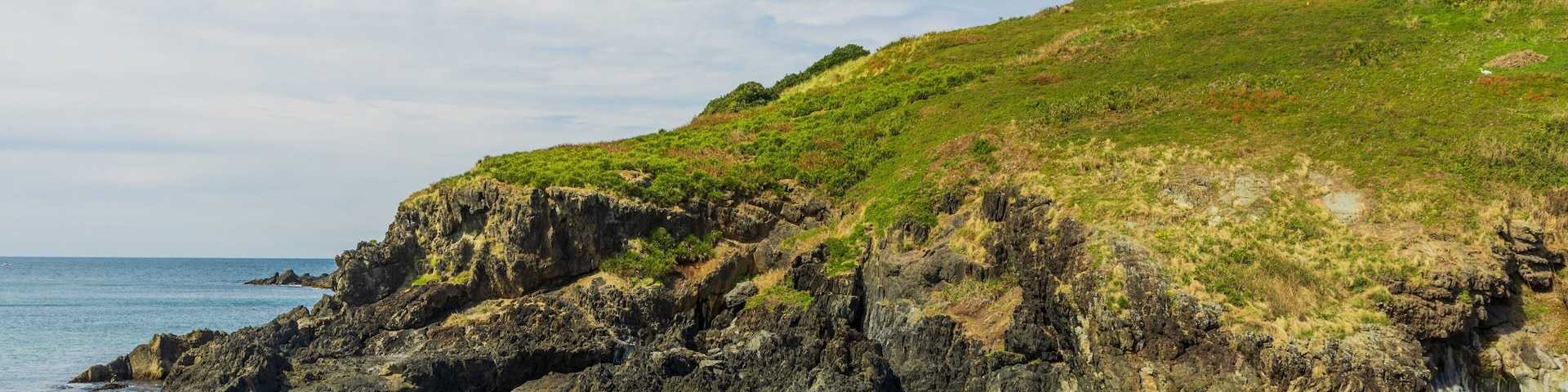 Muttonbird Island Nature Reserve showing rocky coastline and general coastal views